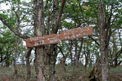 仲秋の釈迦ケ岳・中岳・西平岳を巡る