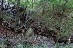仲秋の釈迦ケ岳・中岳・西平岳を巡る