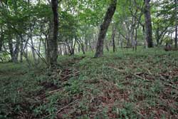 仲秋の釈迦ケ岳・中岳・西平岳を巡る