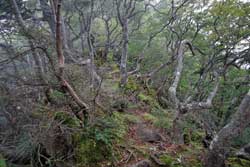 仲秋の釈迦ケ岳・中岳・西平岳を巡る