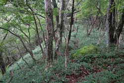 仲秋の釈迦ケ岳・中岳・西平岳を巡る