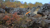 岩手山は岩手富士・南部片富士・巌鷲山とも呼ばれる東北の名峰