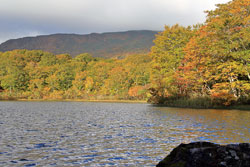 花の山/水の山/紅葉の山/焼石岳・中沼コースを歩く