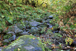 花の山/水の山/紅葉の山/焼石岳・中沼コースを歩く