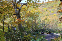 花の山/水の山/紅葉の山/焼石岳・中沼コースを歩く