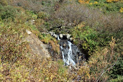 花の山/水の山/紅葉の山/焼石岳・中沼コースを歩く