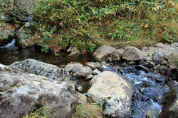 花の山/水の山/紅葉の山/焼石岳・中沼コースを歩く