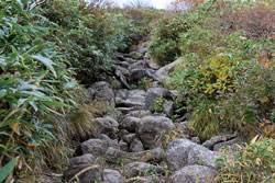 花の山/水の山/紅葉の山/焼石岳・中沼コースを歩く