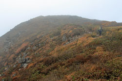 花の山/水の山/紅葉の山/焼石岳・中沼コースを歩く