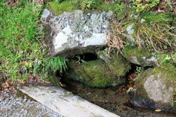 花の山/水の山/紅葉の山/焼石岳・中沼コースを歩く